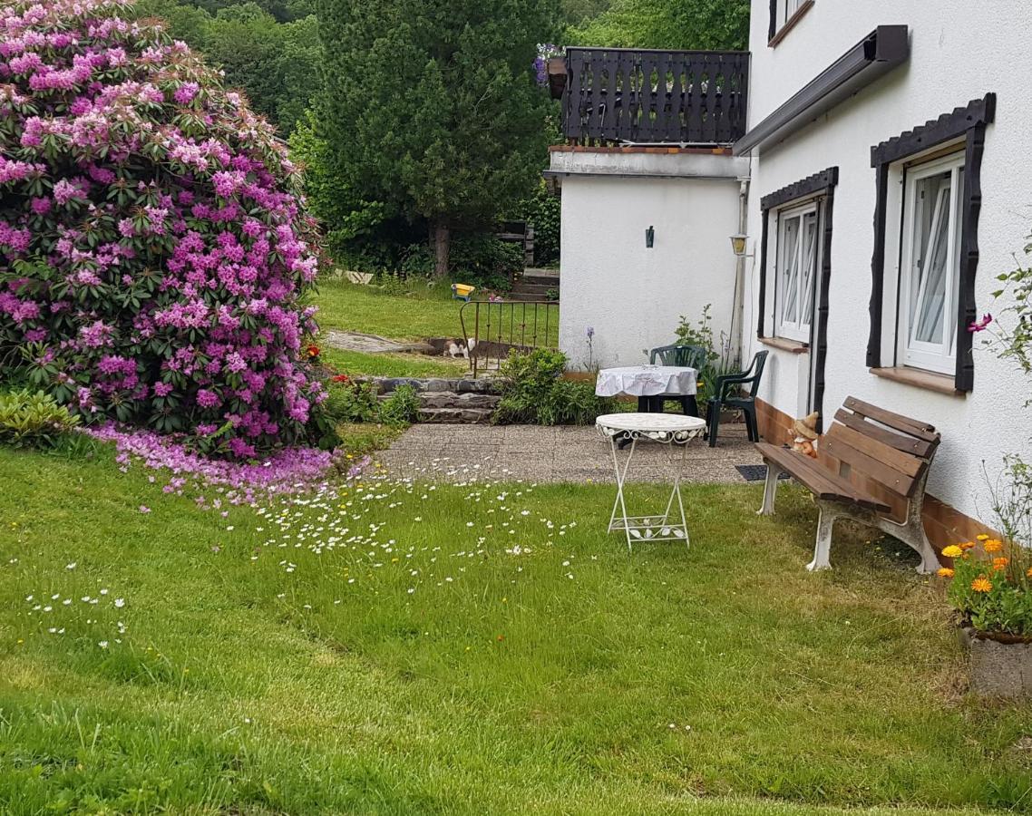 Ferienwohnung Eva Grebenhain Exteriör bild
